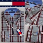 CAMISA TOMMY   ID:845026